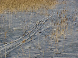 ���������, 11 ����� 2012