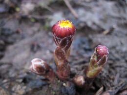 �����������, 14 ������ 2012