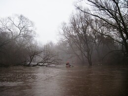 ����� �� ���� ������, �����������, 15 ������ 2012