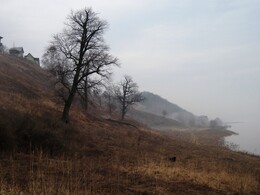 ���� ���, �����������, 15 ������ 2012