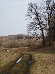 �����������, 15 ������ 2012