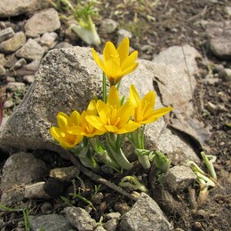 ���������� ������, �����������, 21 ������ 2012