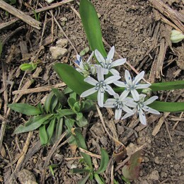 ���������� ������, �����������, 22 ������ 2012