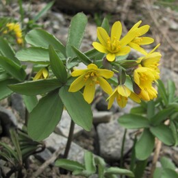 ���������� ������, �����������, 23 ������ 2012