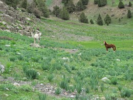 ���������� ������, �����������, 24 ������ 2012