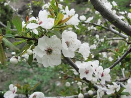 ���������� ������, �����������, 24 ������ 2012