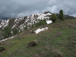 ���������� ������, �����������, 25 ������ 2012