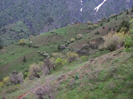 ���������� ������, �����������, 26 ������ 2012