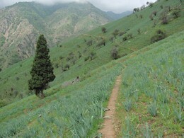 ���������� ������, �����������, 26 ������ 2012