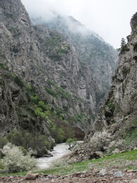 ���������� ������, �����������, 26 ������ 2012