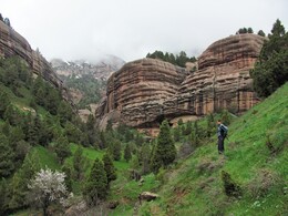 ����� ������������ �������, ���������� ������, �����������, 28 ������ 2012