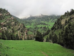 ���������� ������, �����������, 28 ������ 2012