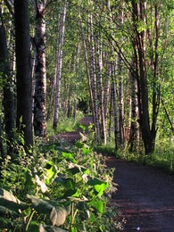 �����, ���������, 21 ���� 2012