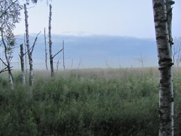 �����, ���������, 28 ���� 2012