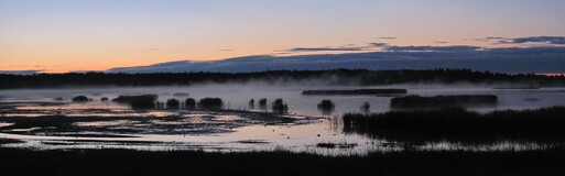 �����, ���������, 28 ���� 2012