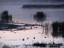 �����, ���������, 28 ���� 2012