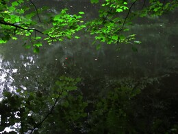 ���� � �������, 6 ���� 2012