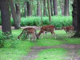 ���� � ������� �� ���� �� ������ � ��������, 7 ���� 2012