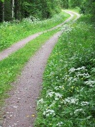 ���������, 30 ���� 2012