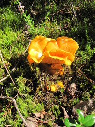 ���������, 25 ������� 2012