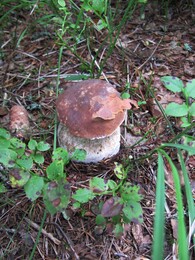 ���������, 25 ������� 2012