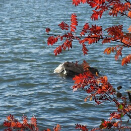 �����, ���������, 30 �������� 2012