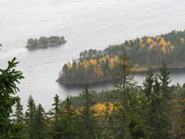 ���� ����, ���������, 5 ������� 2012