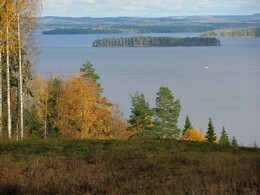 ���� ����, ���������, 7 ������� 2012