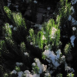 ���������, 27 ������� 2012