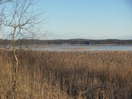 ���������, 27 ������� 2012