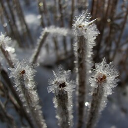 ���������, 27 ������� 2012