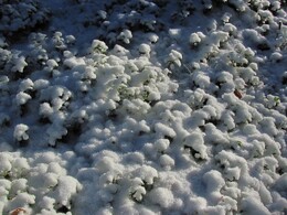 ���������, 27 ������� 2012