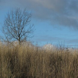 ���������, 27 ������� 2012