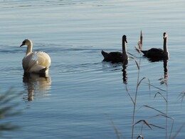 �����, ���������, 28 ������� 2012