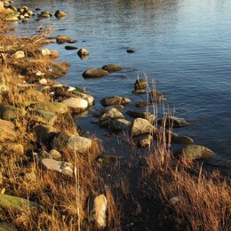 �����, ���������, 28 ������� 2012