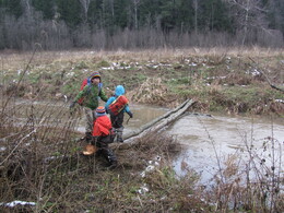 �����������, 4 ������ 2012