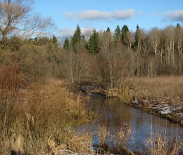 ���� ����, �����������, 10 ������ 2012