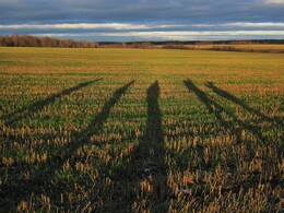 �����������, 10 ������ 2012