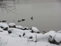 �����, ���������, 1 ������� 2012