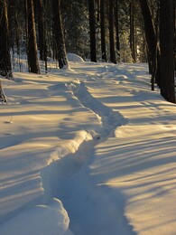 �����, ���������, 26 ������� 2012