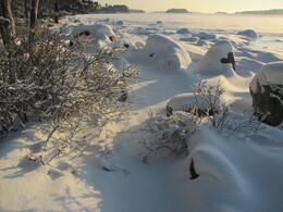 �����, ���������, 26 ������� 2012