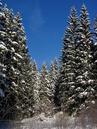 �����������, 26 ������ 2013