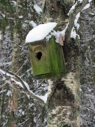 ���������, 16 ������� 2013