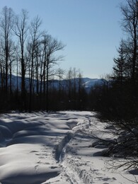 ����-������� ������, 23 ����� 2013