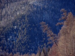 ����-������� ������, 24 ����� 2013