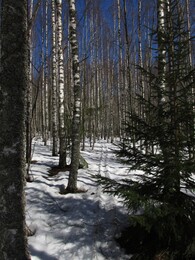 ���������, 20 ������ 2013