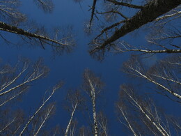 ���������, 20 ������ 2013