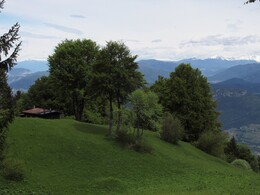 ������, ������, 1 ���� 2013