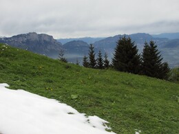 ������, ������, 1 ���� 2013