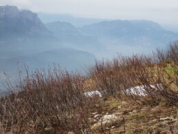 ������, ������, 1 ���� 2013